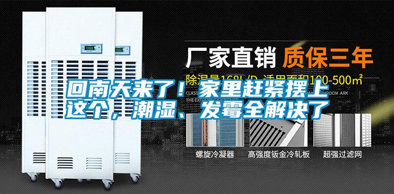 回南天來了！家里趕緊擺上這個，潮濕、發(fā)霉全解決了
