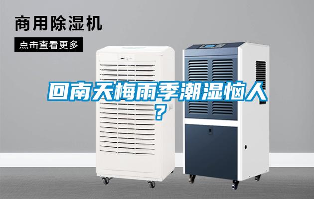 回南天梅雨季潮濕惱人？