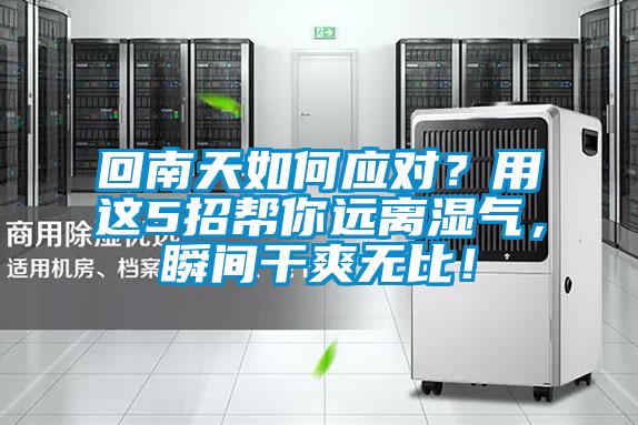 回南天如何應(yīng)對(duì)？用這5招幫你遠(yuǎn)離濕氣，瞬間干爽無比！
