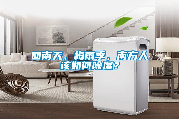 回南天、梅雨季，南方人該如何除濕？