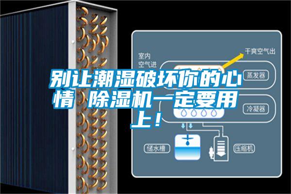 別讓潮濕破壞你的心情 除濕機(jī)一定要用上！