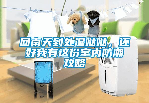 回南天到處濕噠噠，還好我有這份室內(nèi)防潮攻略