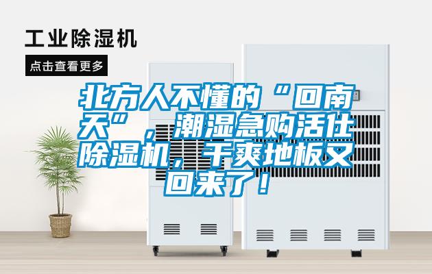 北方人不懂的“回南天”，潮濕急購(gòu)活仕除濕機(jī)，干爽地板又回來了！