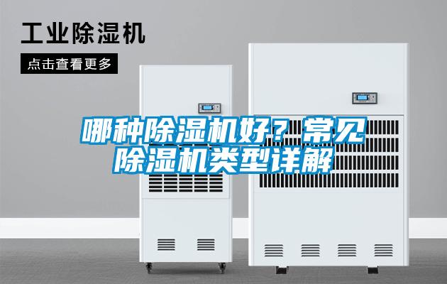 哪種除濕機好？常見除濕機類型詳解