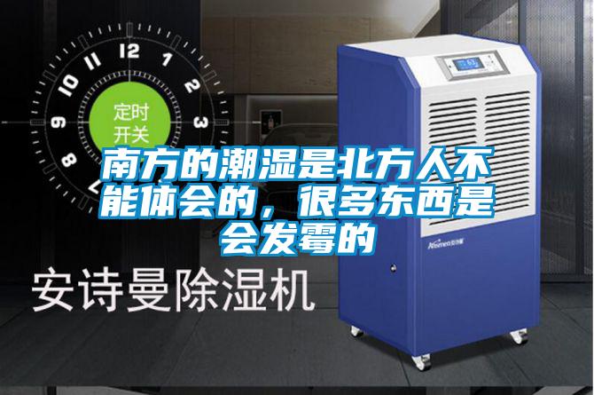 南方的潮濕是北方人不能體會(huì)的，很多東西是會(huì)發(fā)霉的