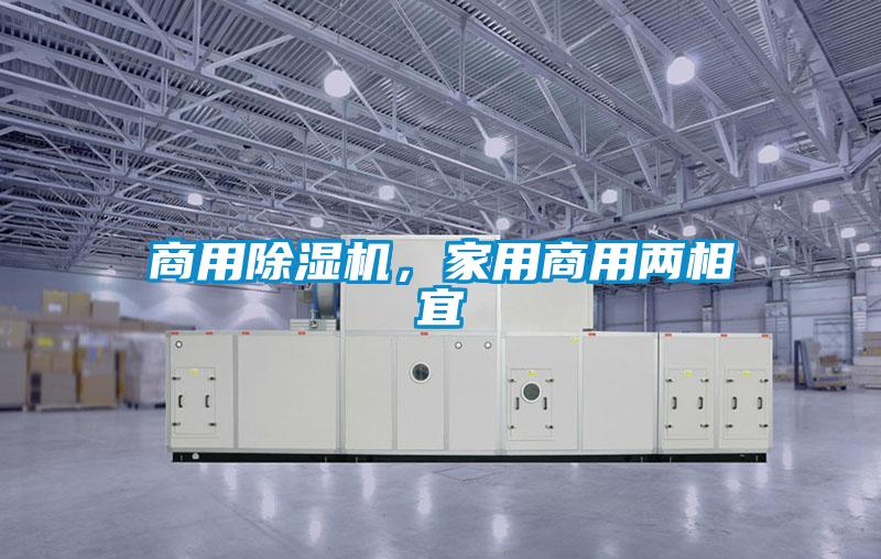 商用除濕機(jī)，家用商用兩相宜