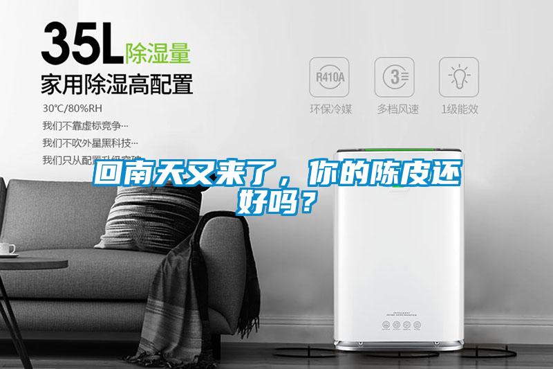 回南天又來了，你的陳皮還好嗎？