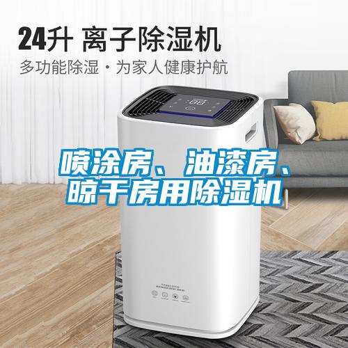 噴涂房、油漆房、晾干房用除濕機