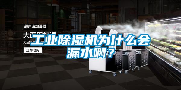 工業(yè)除濕機為什么會漏水??？