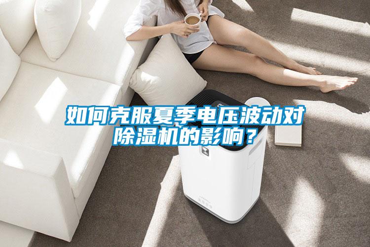 如何克服夏季電壓波動對除濕機的影響？