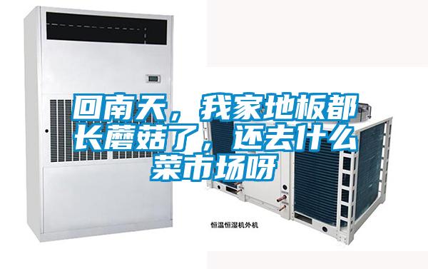 回南天，我家地板都長蘑菇了，還去什么菜市場呀