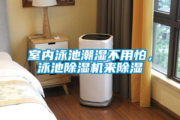 室內(nèi)泳池潮濕不用怕，泳池除濕機來除濕