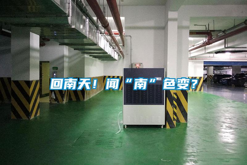回南天！聞“南”色變？