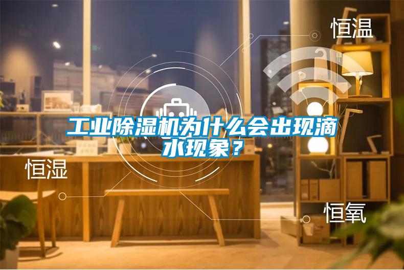 工業(yè)除濕機為什么會出現(xiàn)滴水現(xiàn)象？