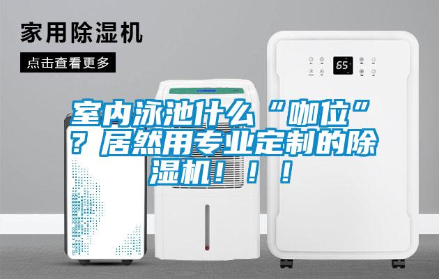 室內(nèi)泳池什么“咖位”？居然用專業(yè)定制的除濕機(jī)?。。?/></p>
						    <p style=