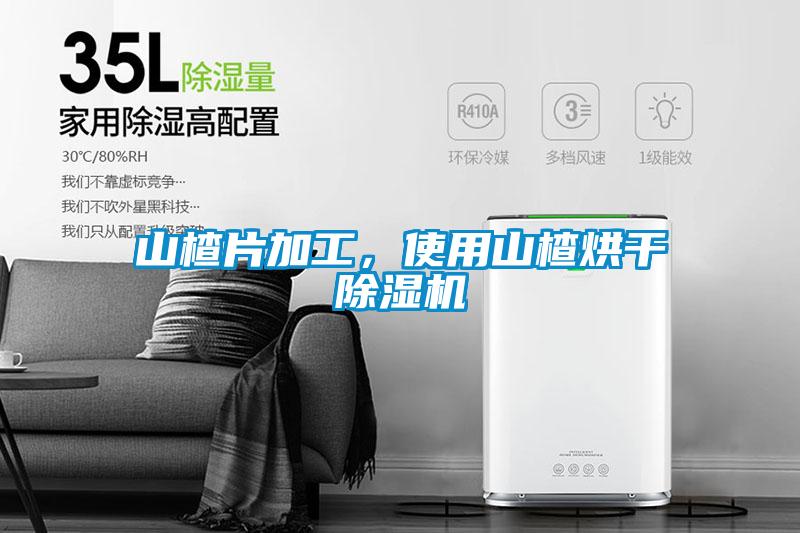 山楂片加工，使用山楂烘干除濕機(jī)