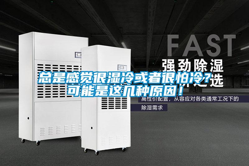 總是感覺很濕冷或者很怕冷？可能是這幾種原因！