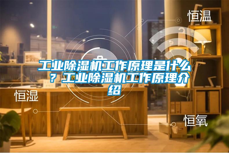 工業(yè)除濕機(jī)工作原理是什么 ？工業(yè)除濕機(jī)工作原理介紹