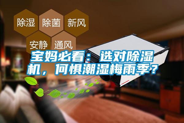 寶媽必看：選對除濕機，何懼潮濕梅雨季？