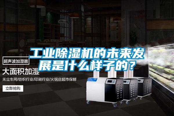 工業(yè)除濕機(jī)的未來(lái)發(fā)展是什么樣子的？