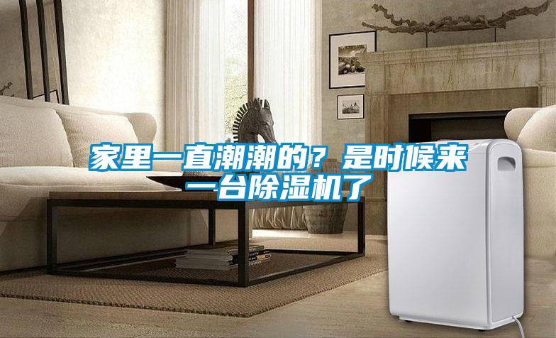 家里一直潮潮的？是時候來一臺除濕機了