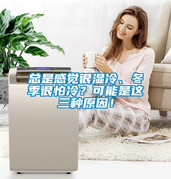 總是感覺(jué)很濕冷、冬季很怕冷？可能是這三種原因！