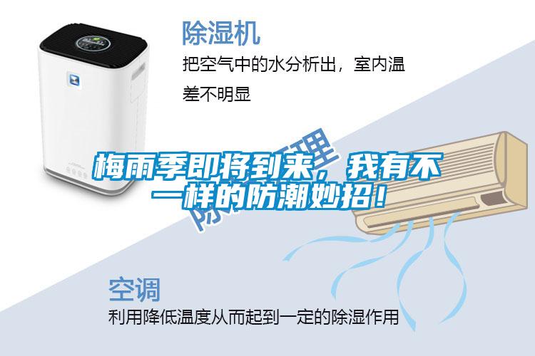 梅雨季即將到來，我有不一樣的防潮妙招！