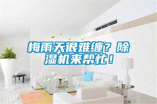 梅雨天很難纏？除濕機(jī)來幫忙！