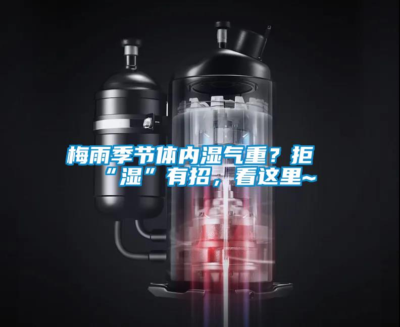 梅雨季節(jié)體內(nèi)濕氣重？拒“濕”有招，看這里~