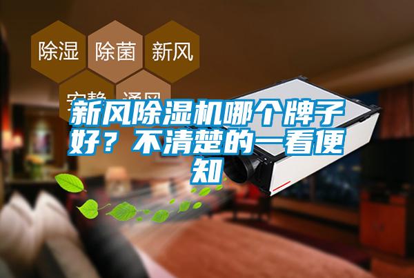 新風除濕機哪個牌子好？不清楚的一看便知