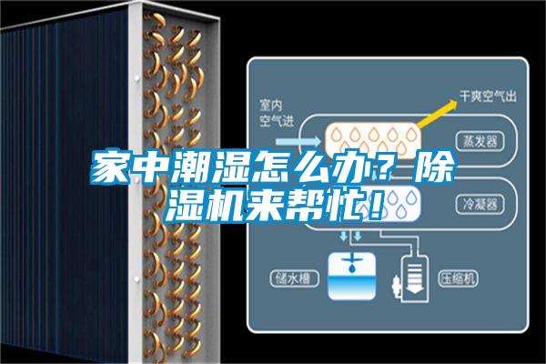 家中潮濕怎么辦？除濕機(jī)來(lái)幫忙！