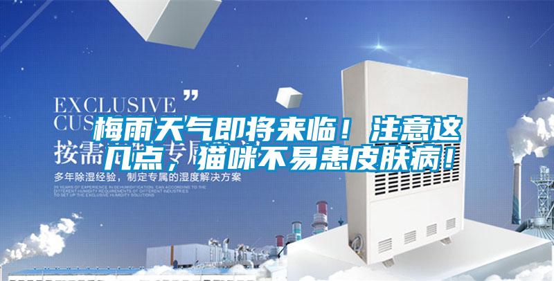 梅雨天氣即將來臨！注意這幾點(diǎn)，貓咪不易患皮膚??！