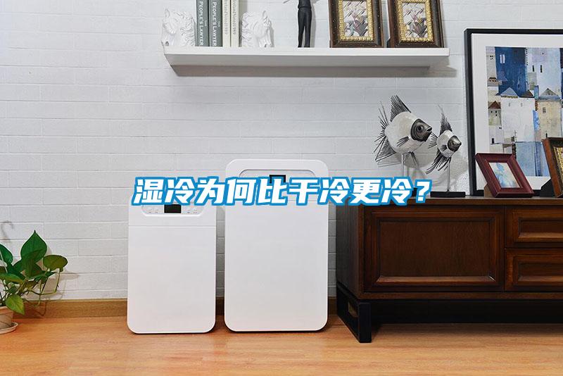 濕冷為何比干冷更冷？