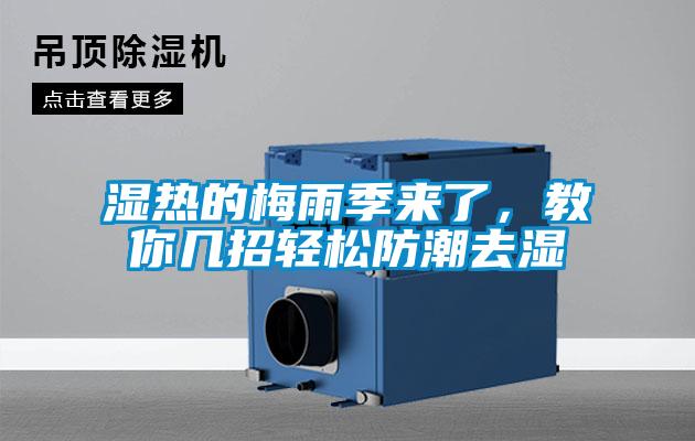 濕熱的梅雨季來了，教你幾招輕松防潮去濕