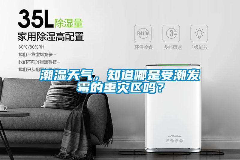 潮濕天氣，知道哪是受潮發(fā)霉的重災(zāi)區(qū)嗎？