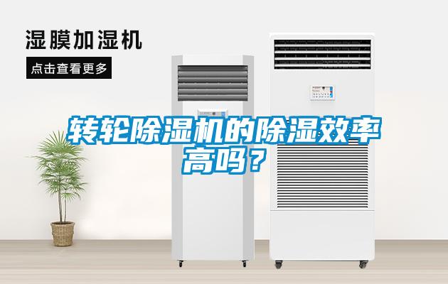 轉輪除濕機的除濕效率高嗎？