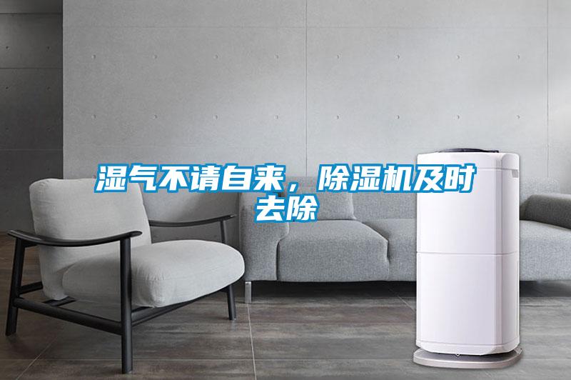 濕氣不請自來，除濕機及時去除