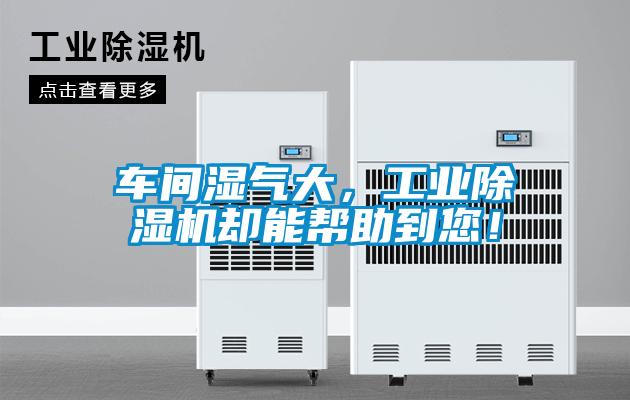 車間濕氣大，工業(yè)除濕機卻能幫助到您！