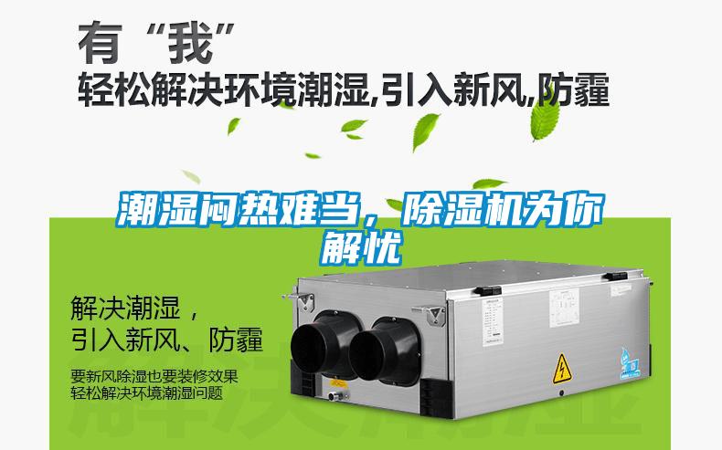 潮濕悶熱難當，除濕機為你解憂