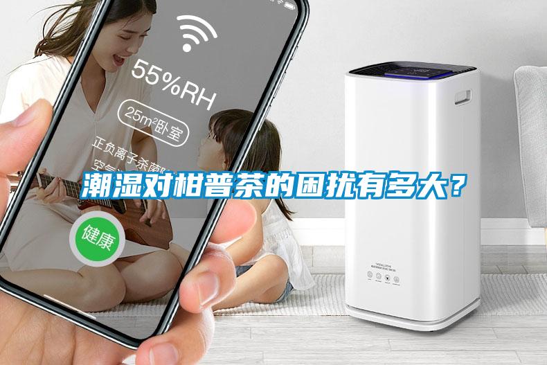 潮濕對(duì)柑普茶的困擾有多大？