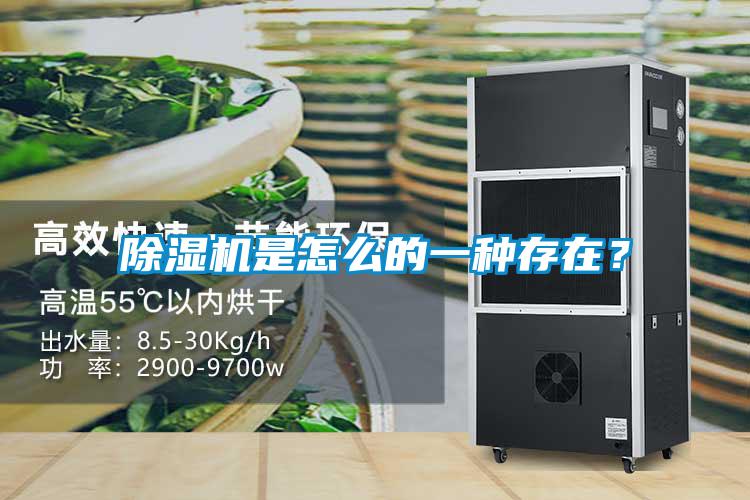 除濕機是怎么的一種存在？