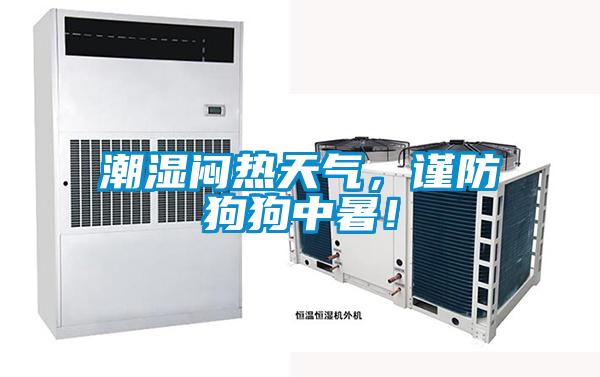 潮濕悶熱天氣，謹防狗狗中暑！