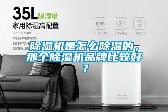 除濕機(jī)是怎么除濕的，那個(gè)除濕機(jī)品牌比較好？