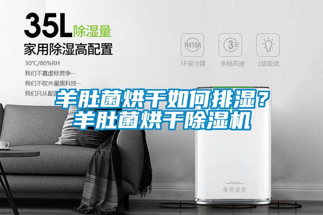 羊肚菌烘干如何排濕？羊肚菌烘干除濕機(jī)