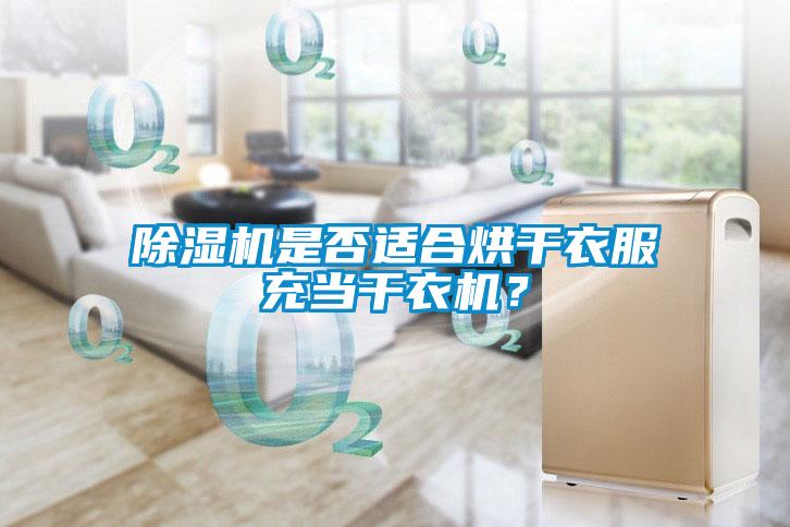 除濕機(jī)是否適合烘干衣服充當(dāng)干衣機(jī)？
