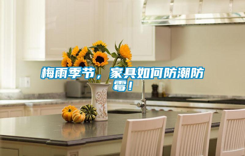 梅雨季節(jié)，家具如何防潮防霉！
