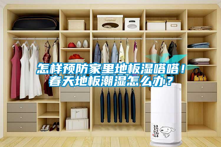 怎樣預(yù)防家里地板濕嗒嗒！春天地板潮濕怎么辦？
