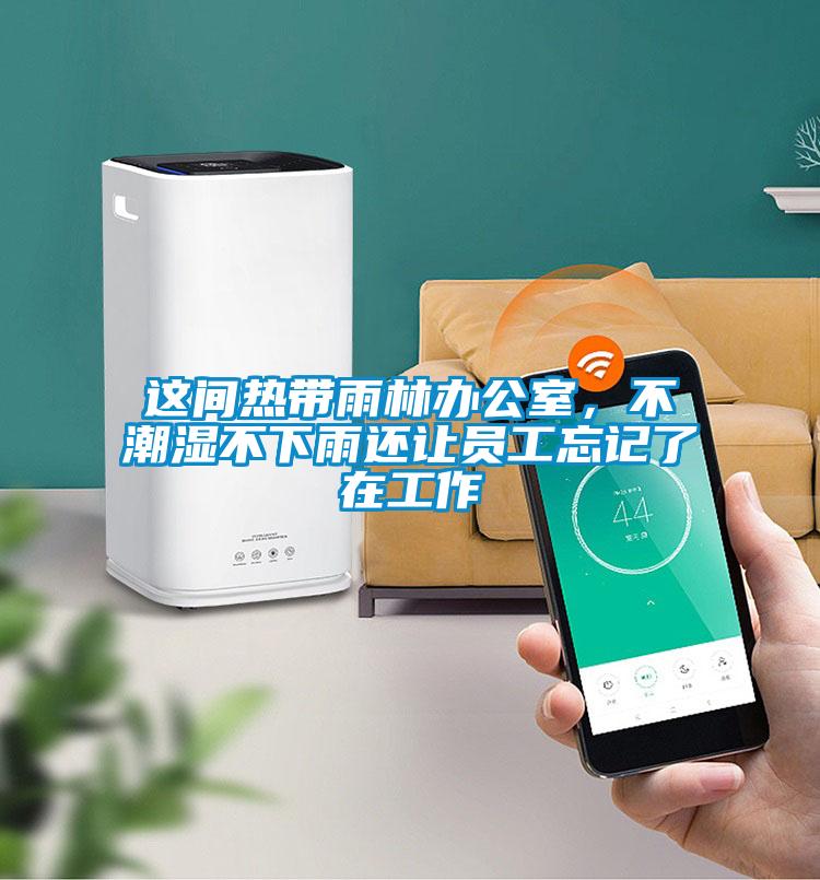 這間熱帶雨林辦公室，不潮濕不下雨還讓員工忘記了在工作
