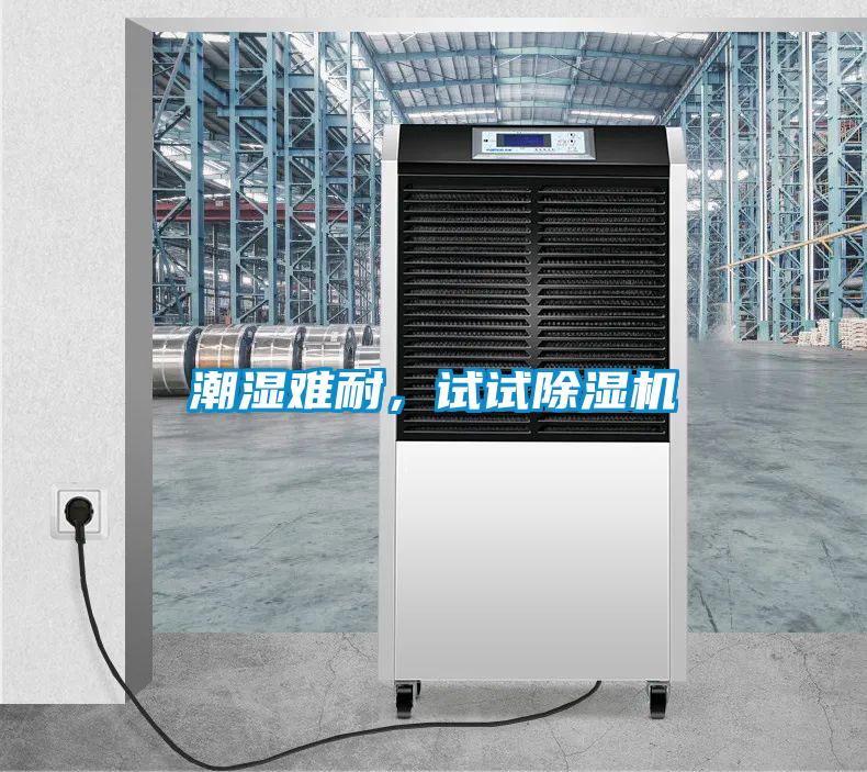 潮濕難耐，試試除濕機