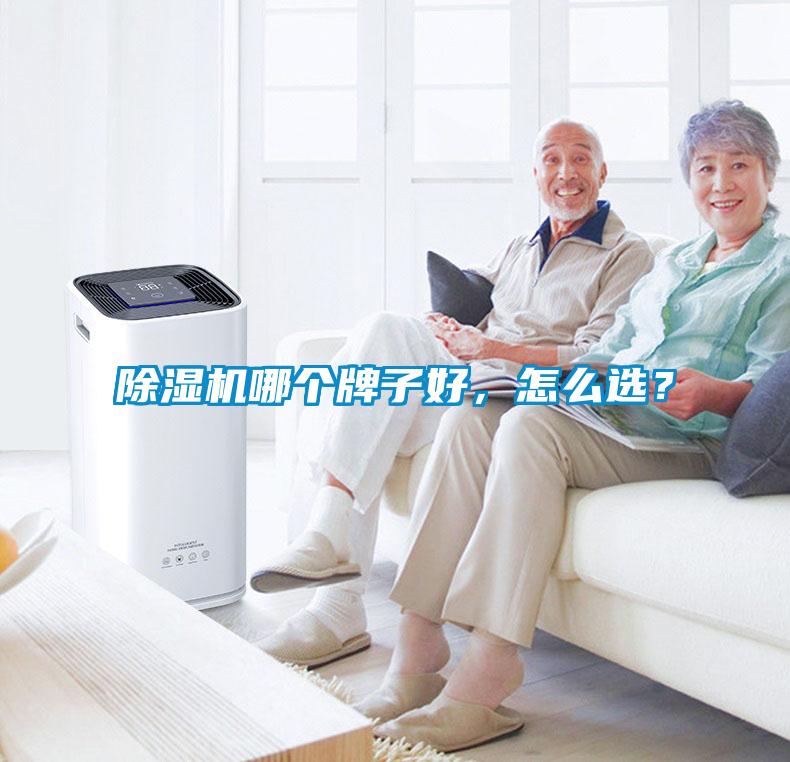 除濕機(jī)哪個(gè)牌子好，怎么選？